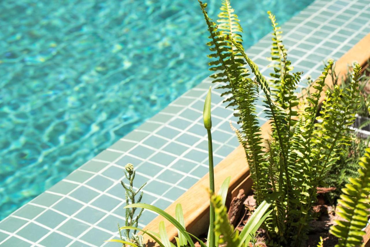 Hotel Costanero MGallery Montevideo Esterno foto A swimming pool
